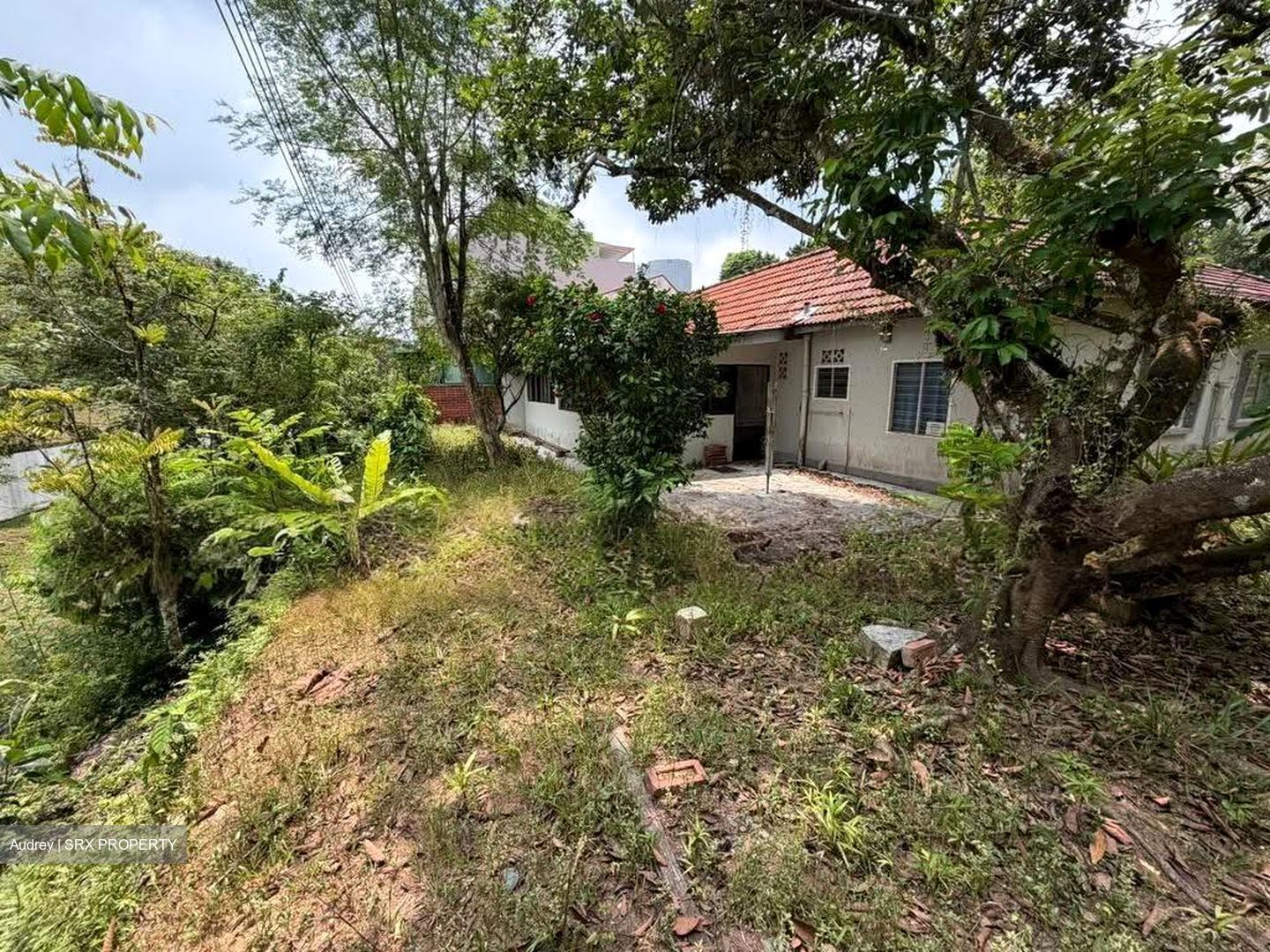 Adelphi Park Estate (D20), Terrace #611020491